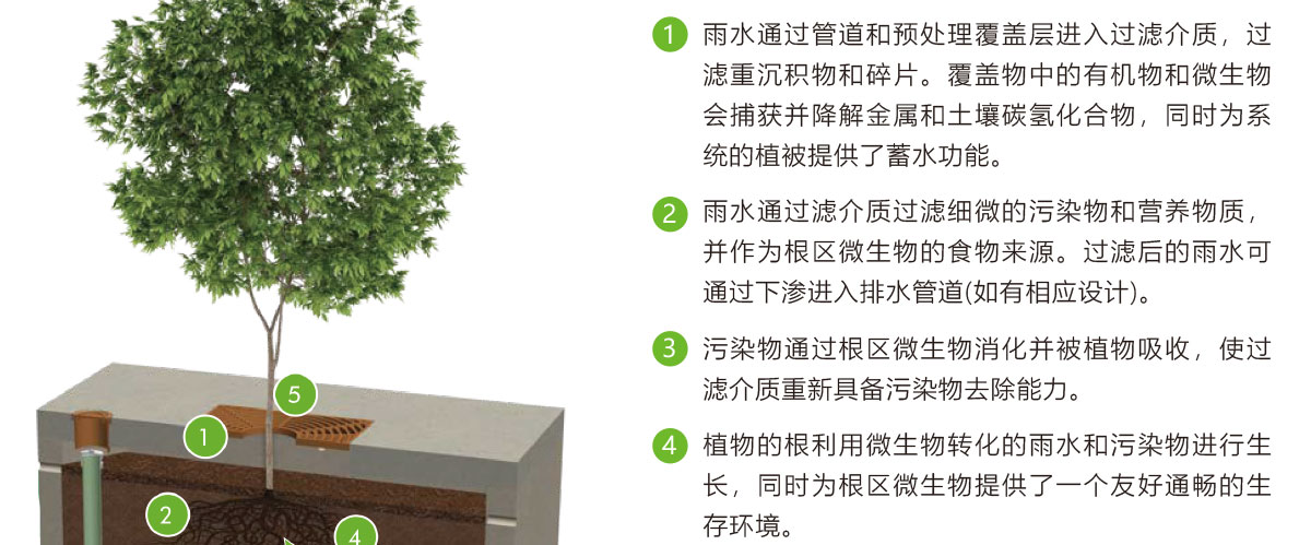 低影響開發(fā)理念綠色設施,LID理念綠色設施,智慧雨洪管理方案,智慧雨洪管理系統(tǒng),華南泵業(yè)